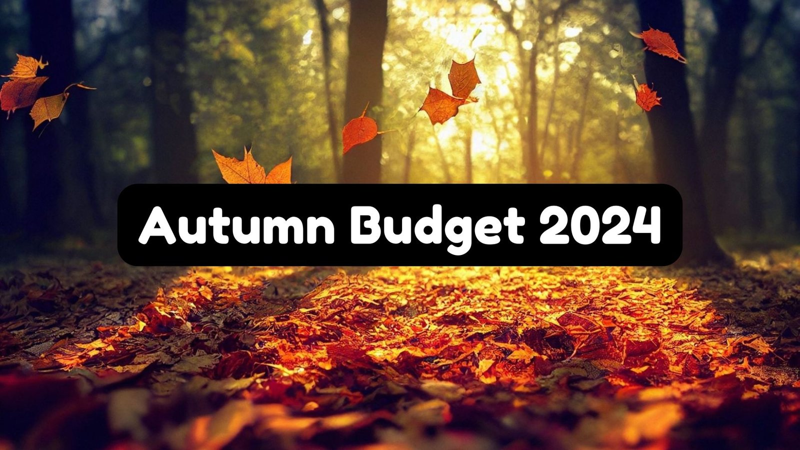 Autumn Budget 2024